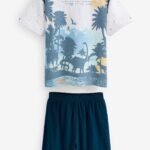 Next - Blue Dinosaur Short Pyjamas