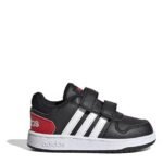 Adidas - Hoops Court Trainers