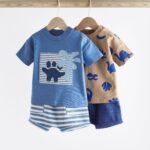 Next - Blue/Neutral Baby 100% Cotton T-Shirts And Shorts Set 2 Pack