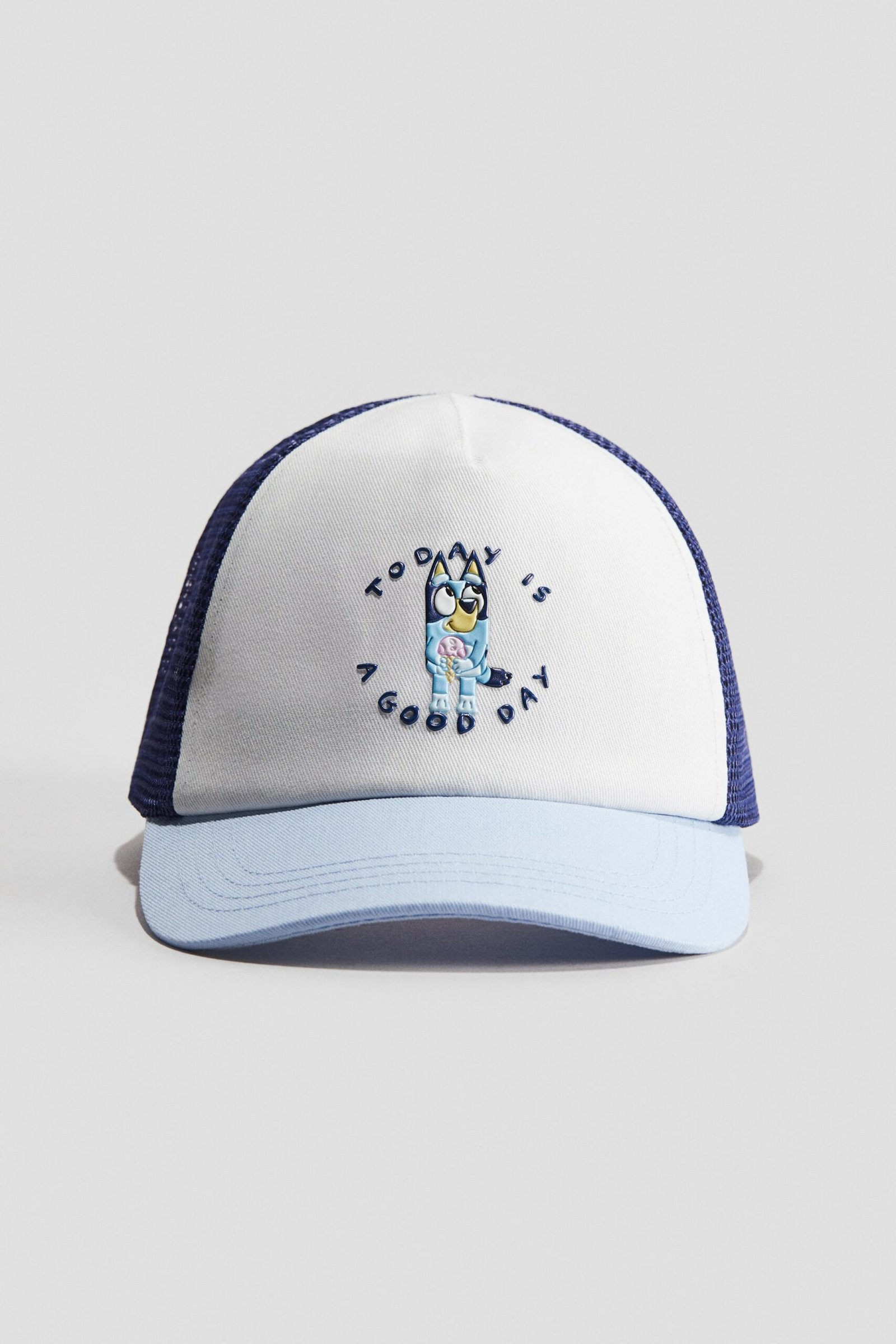 2e558d288a2acd586e149f1e543ca9da HM - Trucker cap Blue/Bluey - Image 1